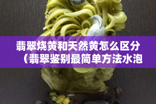 翡翠燒黃和天然黃怎么區(qū)分（翡翠鑒別最簡(jiǎn)單方法水泡）