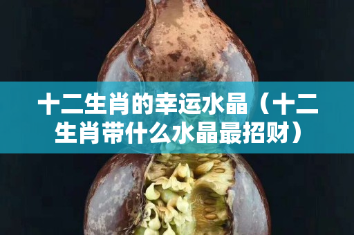 十二生肖的幸運水晶（十二生肖帶什么水晶最招財）