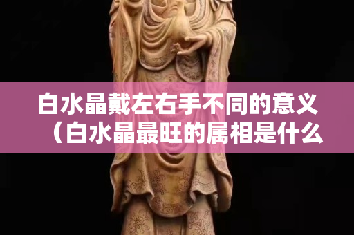 白水晶戴左右手不同的意義（白水晶最旺的屬相是什么）