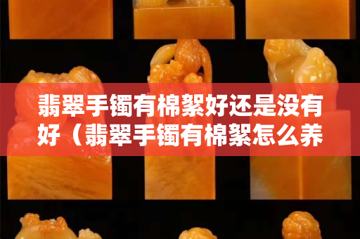 翡翠手鐲有棉絮好還是沒有好（翡翠手鐲有棉絮怎么養(yǎng)才慢慢散）