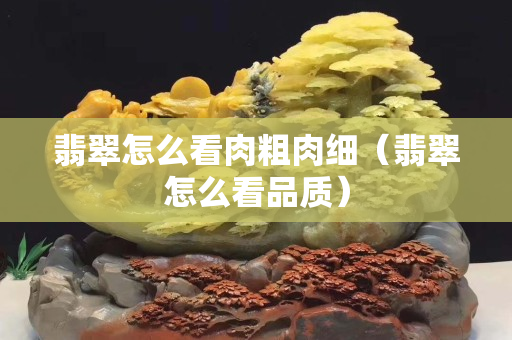 翡翠怎么看肉粗肉細（翡翠怎么看品質）