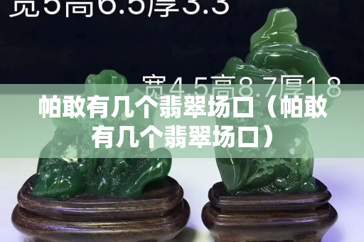 帕敢有幾個翡翠場口（帕敢有幾個翡翠場口）