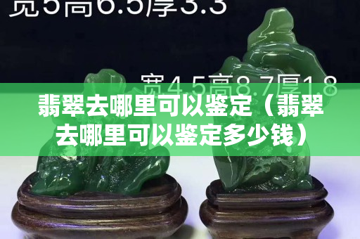翡翠去哪里可以鑒定（翡翠去哪里可以鑒定多少錢）
