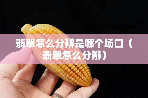 翡翠怎么分辨是哪個(gè)場(chǎng)口（翡翠怎么分辨）