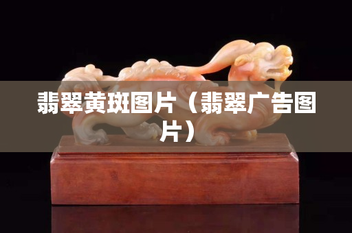 翡翠黃斑圖片（翡翠廣告圖片）
