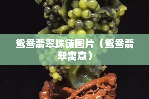 鴛鴦翡翠珠鏈圖片（鴛鴦翡翠寓意）