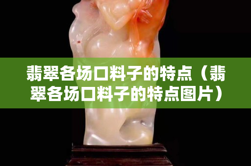 翡翠各場口料子的特點（翡翠各場口料子的特點圖片）