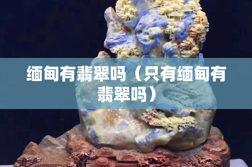 緬甸有翡翠嗎（只有緬甸有翡翠嗎）