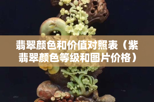 翡翠顏色和價值對照表（紫翡翠顏色等級和圖片價格）