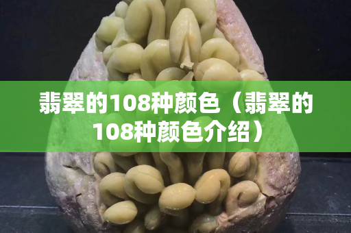 翡翠的108種顏色（翡翠的108種顏色介紹）