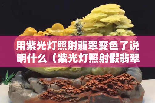 用紫光燈照射翡翠變色了說明什么（紫光燈照射假翡翠會變色嗎）
