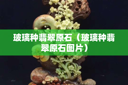 玻璃種翡翠原石（玻璃種翡翠原石圖片）