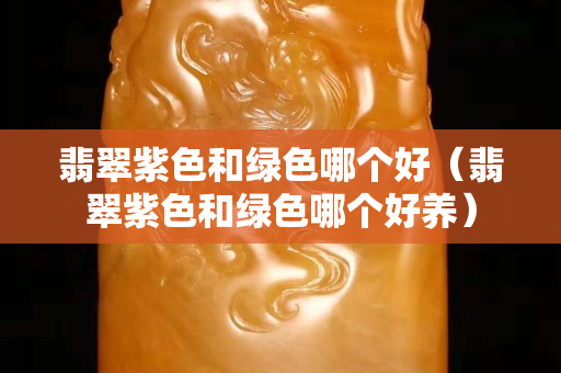 翡翠紫色和綠色哪個好（翡翠紫色和綠色哪個好養）