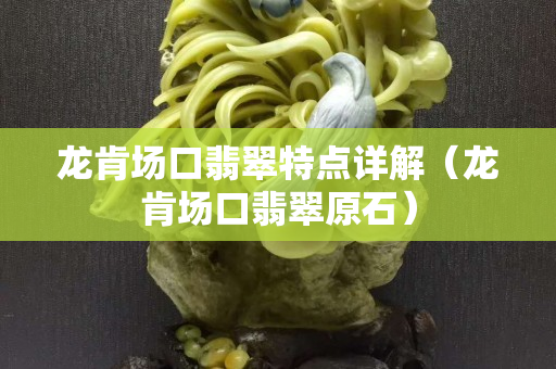 龍肯場口翡翠特點詳解（龍肯場口翡翠原石）