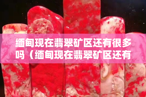 緬甸現在翡翠礦區還有很多嗎（緬甸現在翡翠礦區還有很多嗎）