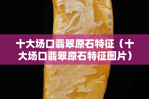 十大場口翡翠原石特征（十大場口翡翠原石特征圖片）