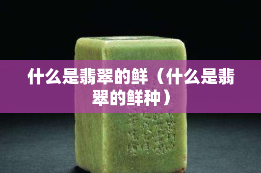 什么是翡翠的鮮（什么是翡翠的鮮種）