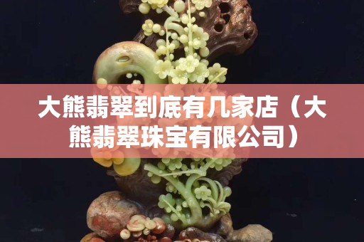 大熊翡翠到底有幾家店（大熊翡翠珠寶有限公司）
