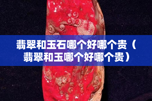 翡翠和玉石哪個好哪個貴（翡翠和玉哪個好哪個貴）