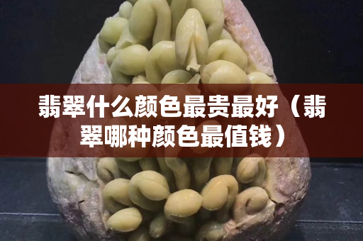 翡翠什么顏色最貴最好（翡翠哪種顏色最值錢）