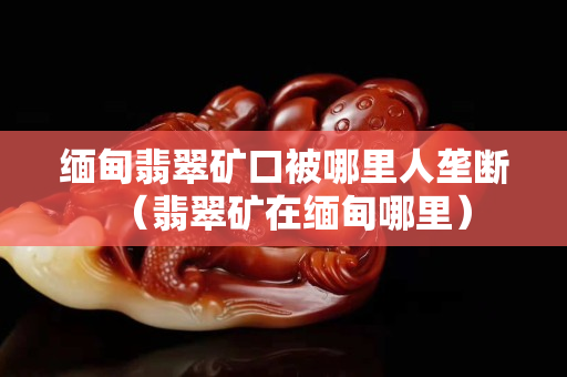 緬甸翡翠礦口被哪里人壟斷（翡翠礦在緬甸哪里）