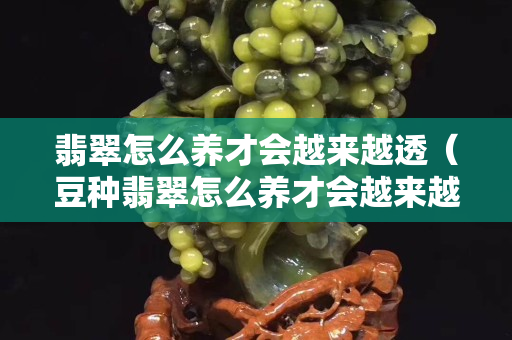 翡翠怎么養才會越來越透（豆種翡翠怎么養才會越來越透）