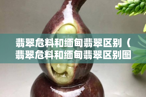 翡翠危料和緬甸翡翠區(qū)別（翡翠危料和緬甸翡翠區(qū)別圖片對(duì)比）