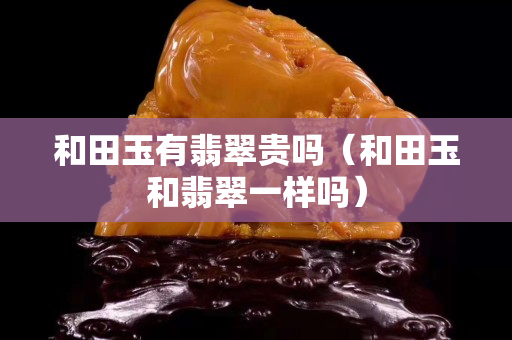 和田玉有翡翠貴嗎（和田玉和翡翠一樣嗎）