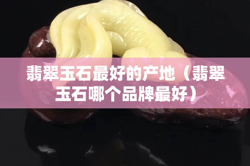 翡翠玉石最好的產地（翡翠玉石哪個品牌最好）