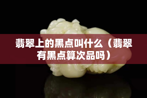 翡翠上的黑點叫什么（翡翠有黑點算次品嗎）