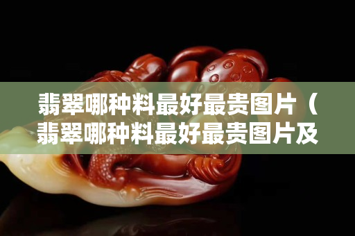 翡翠哪種料最好最貴圖片（翡翠哪種料最好最貴圖片及價格）