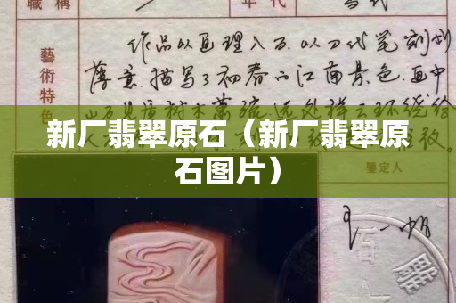 新廠翡翠原石（新廠翡翠原石圖片）
