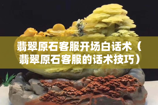 翡翠原石客服開(kāi)場(chǎng)白話術(shù)（翡翠原石客服的話術(shù)技巧）
