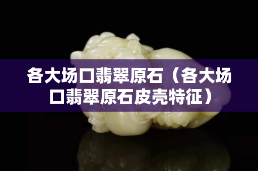 各大場口翡翠原石（各大場口翡翠原石皮殼特征）