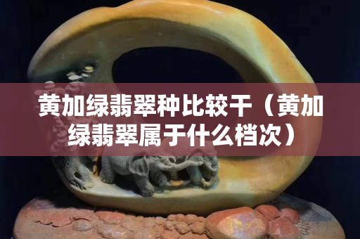 黃加綠翡翠種比較干(黃加綠翡翠屬于什么檔次) 黃加綠翡翠種比較干(黃加綠翡翠屬于什么檔次)