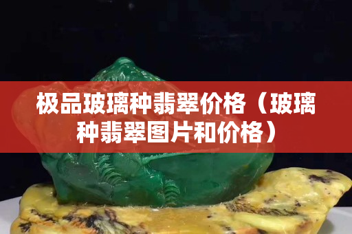 極品玻璃種翡翠價格（玻璃種翡翠圖片和價格）