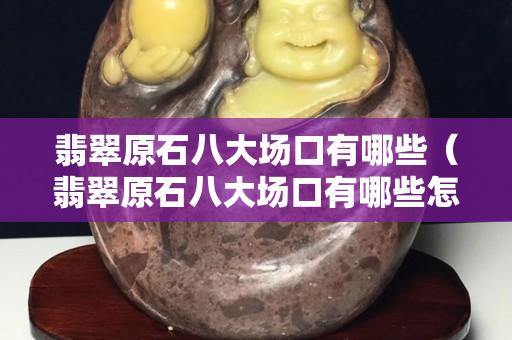 翡翠原石八大場口有哪些（翡翠原石八大場口有哪些怎么排序）