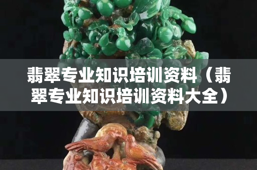 翡翠專業知識培訓資料（翡翠專業知識培訓資料大全）