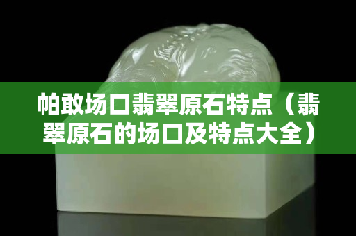 帕敢場口翡翠原石特點（翡翠原石的場口及特點大全）