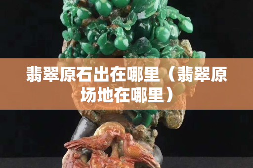 翡翠原石出在哪里（翡翠原場地在哪里）