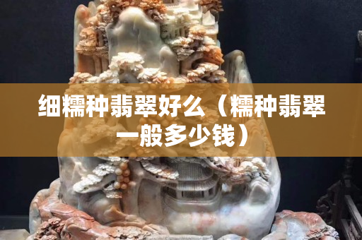 細(xì)糯種翡翠好么（糯種翡翠一般多少錢(qián)）
