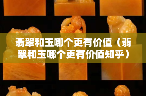 翡翠和玉哪個更有價值（翡翠和玉哪個更有價值知乎）
