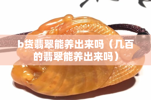 b貨翡翠能養出來嗎（幾百的翡翠能養出來嗎）
