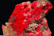 雞血石的作用及佩戴禁忌？