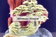 老撾石是壽山石嗎（老撾石的價值）