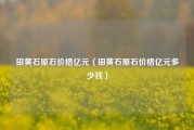 田黃石原石價格億元（田黃石原石價格億元多少錢）