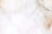 【玉·見羅源 石·出匠心】耕耘四十載 巧手雕乾坤