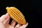 壽山石手玩件如何保養