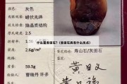什么是青田石?（青田石具有什么優(yōu)點）