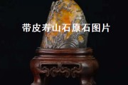 蛤蟆皮田黃原石特征？（帶皮壽山田黃石圖片）